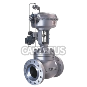 860 Series Caged/Top-Entry General-Purpose Control Valves