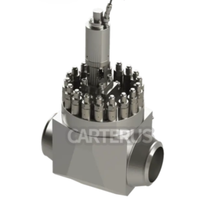 RSK Swing Check Valve for Main & Bypass Feedwater Isolation